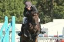 Image 43 in  AYLSHAM  SHOW  JUMPING  27  AUG  2012.                                                                    