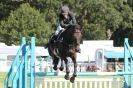 Image 44 in  AYLSHAM  SHOW  JUMPING  27  AUG  2012.                                                                    