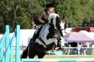 Image 46 in  AYLSHAM  SHOW  JUMPING  27  AUG  2012.                                                                    