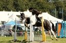 Image 49 in  AYLSHAM  SHOW  JUMPING  27  AUG  2012.                                                                    