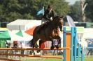 Image 51 in  AYLSHAM  SHOW  JUMPING  27  AUG  2012.                                                                    