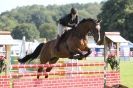 Image 53 in  AYLSHAM  SHOW  JUMPING  27  AUG  2012.                                                                    