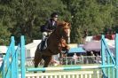 Image 55 in  AYLSHAM  SHOW  JUMPING  27  AUG  2012.                                                                    