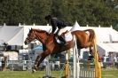 Image 58 in  AYLSHAM  SHOW  JUMPING  27  AUG  2012.                                                                    