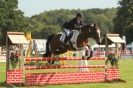 Image 6 in  AYLSHAM  SHOW  JUMPING  27  AUG  2012.                                                                    