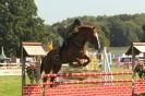 Image 60 in  AYLSHAM  SHOW  JUMPING  27  AUG  2012.                                                                    