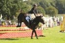 Image 62 in  AYLSHAM  SHOW  JUMPING  27  AUG  2012.                                                                    