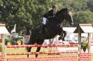 Image 71 in  AYLSHAM  SHOW  JUMPING  27  AUG  2012.                                                                    