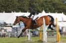 Image 88 in  AYLSHAM  SHOW  JUMPING  27  AUG  2012.                                                                    