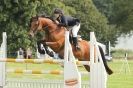 Image 90 in  AYLSHAM  SHOW  JUMPING  27  AUG  2012.                                                                    