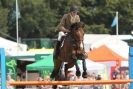 Image 97 in  AYLSHAM  SHOW  JUMPING  27  AUG  2012.                                                                    