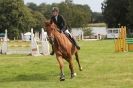 Image 99 in  AYLSHAM  SHOW  JUMPING  27  AUG  2012.                                                                    