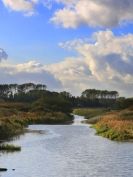 Image 3 in KESSINGLAND. ITS BEACH AND OTHER PARTS