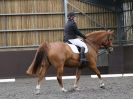 Image 140 in WORLD HORSE WELFARE. DRESSAGE. 9 JUNE 2018