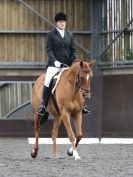 Image 164 in WORLD HORSE WELFARE. DRESSAGE. 9 JUNE 2018