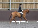 Image 166 in WORLD HORSE WELFARE. DRESSAGE. 9 JUNE 2018