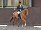 Image 167 in WORLD HORSE WELFARE. DRESSAGE. 9 JUNE 2018