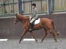 Image 57 in WORLD HORSE WELFARE. DRESSAGE. 9 JUNE 2018