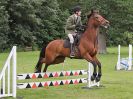Image 107 in BECCLES AND BUNGAY RIDING CLUB OPEN SHOW. 17 JUNE 2018