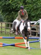 Image 111 in BECCLES AND BUNGAY RIDING CLUB OPEN SHOW. 17 JUNE 2018
