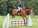 Image 113 in BECCLES AND BUNGAY RIDING CLUB OPEN SHOW. 17 JUNE 2018