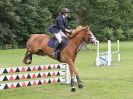 Image 116 in BECCLES AND BUNGAY RIDING CLUB OPEN SHOW. 17 JUNE 2018