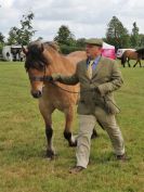 Image 123 in BECCLES AND BUNGAY RIDING CLUB OPEN SHOW. 17 JUNE 2018