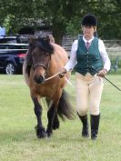 Image 125 in BECCLES AND BUNGAY RIDING CLUB OPEN SHOW. 17 JUNE 2018