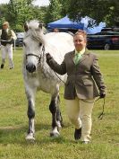 Image 126 in BECCLES AND BUNGAY RIDING CLUB OPEN SHOW. 17 JUNE 2018
