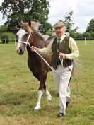 Image 127 in BECCLES AND BUNGAY RIDING CLUB OPEN SHOW. 17 JUNE 2018