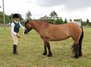 Image 128 in BECCLES AND BUNGAY RIDING CLUB OPEN SHOW. 17 JUNE 2018