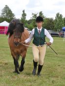 Image 129 in BECCLES AND BUNGAY RIDING CLUB OPEN SHOW. 17 JUNE 2018