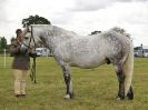 Image 132 in BECCLES AND BUNGAY RIDING CLUB OPEN SHOW. 17 JUNE 2018