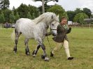 Image 133 in BECCLES AND BUNGAY RIDING CLUB OPEN SHOW. 17 JUNE 2018