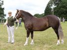 Image 134 in BECCLES AND BUNGAY RIDING CLUB OPEN SHOW. 17 JUNE 2018