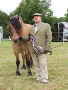 Image 135 in BECCLES AND BUNGAY RIDING CLUB OPEN SHOW. 17 JUNE 2018