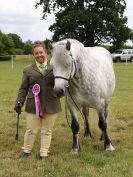 Image 137 in BECCLES AND BUNGAY RIDING CLUB OPEN SHOW. 17 JUNE 2018