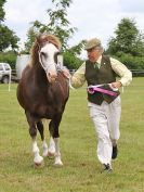 Image 138 in BECCLES AND BUNGAY RIDING CLUB OPEN SHOW. 17 JUNE 2018