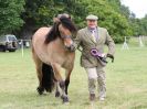 Image 139 in BECCLES AND BUNGAY RIDING CLUB OPEN SHOW. 17 JUNE 2018