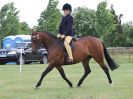 Image 141 in BECCLES AND BUNGAY RIDING CLUB OPEN SHOW. 17 JUNE 2018