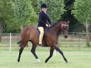 Image 142 in BECCLES AND BUNGAY RIDING CLUB OPEN SHOW. 17 JUNE 2018