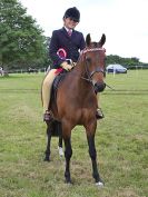 Image 143 in BECCLES AND BUNGAY RIDING CLUB OPEN SHOW. 17 JUNE 2018