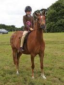 Image 144 in BECCLES AND BUNGAY RIDING CLUB OPEN SHOW. 17 JUNE 2018