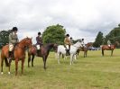 Image 146 in BECCLES AND BUNGAY RIDING CLUB OPEN SHOW. 17 JUNE 2018