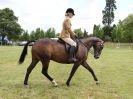 Image 147 in BECCLES AND BUNGAY RIDING CLUB OPEN SHOW. 17 JUNE 2018