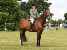 Image 148 in BECCLES AND BUNGAY RIDING CLUB OPEN SHOW. 17 JUNE 2018