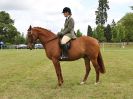 Image 151 in BECCLES AND BUNGAY RIDING CLUB OPEN SHOW. 17 JUNE 2018