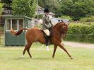 Image 152 in BECCLES AND BUNGAY RIDING CLUB OPEN SHOW. 17 JUNE 2018