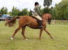 Image 153 in BECCLES AND BUNGAY RIDING CLUB OPEN SHOW. 17 JUNE 2018