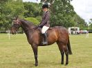 Image 154 in BECCLES AND BUNGAY RIDING CLUB OPEN SHOW. 17 JUNE 2018